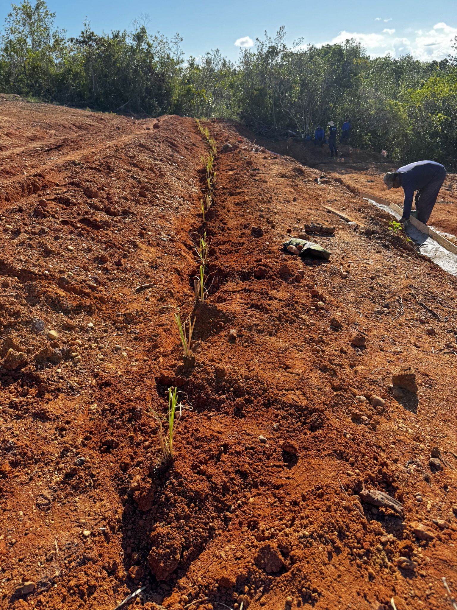 Vista panorâmica dos cordões de contorno
